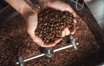 Stronghold - Which roaster is best for roasting coffee up to 5kg?